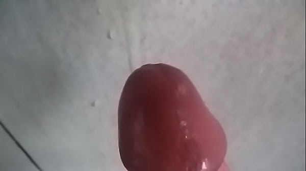 Leitinho pour les amis - venez choisir où vous voulez obtenir mon lait