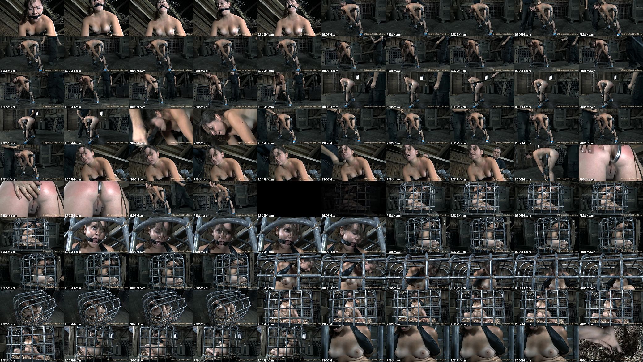 Thraldom bdsm 预览图