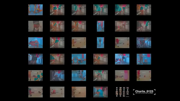 Déambuler la découverte