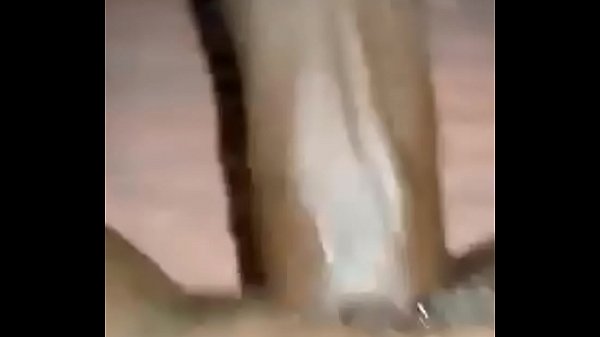 Download Video - Freakyworld