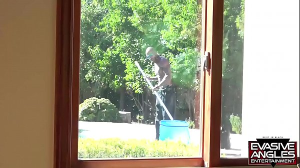 EVASIVE ANGLES Horny Black Mothers # 17 Each sexy cock  gets what she's after
