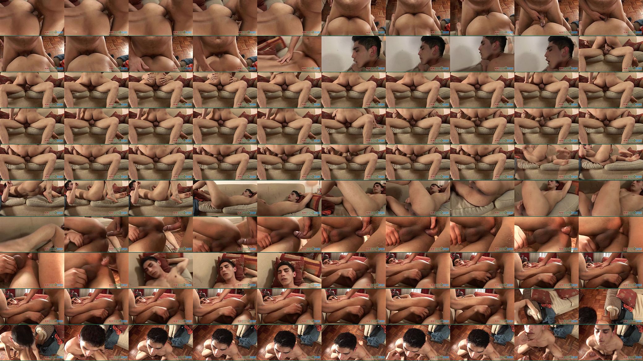 Young paid lover cornholed in every way 预览图