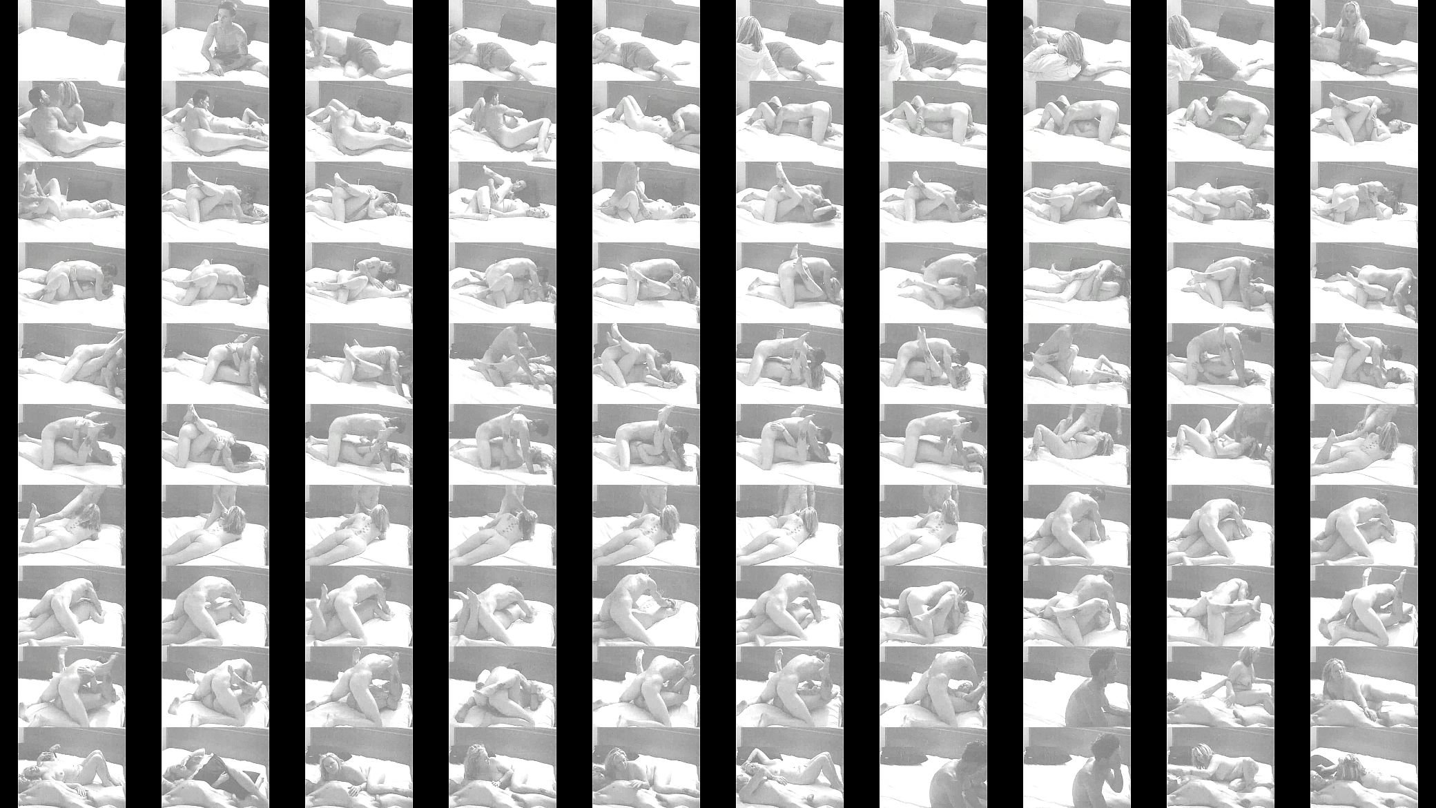 bnw pal1 预览图