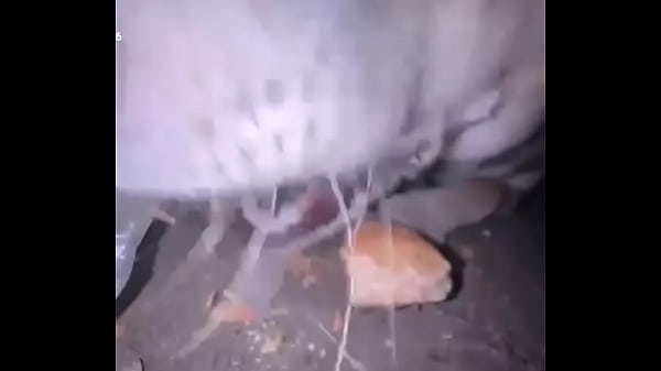 Видео для верификации