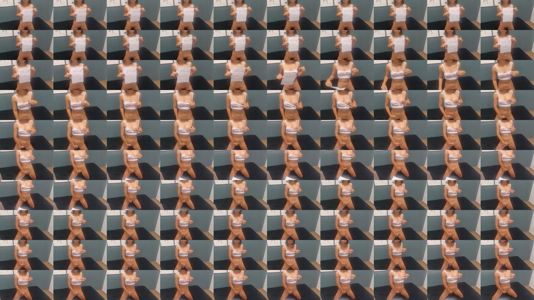 Verification video 预览图
