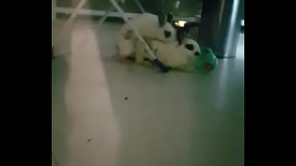 VID-20160925-WA0416