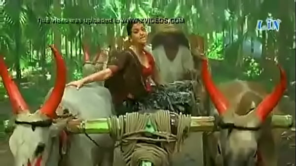 bollywood actress aishwaria rai huge boobs deep cleavage - XNXX.COM