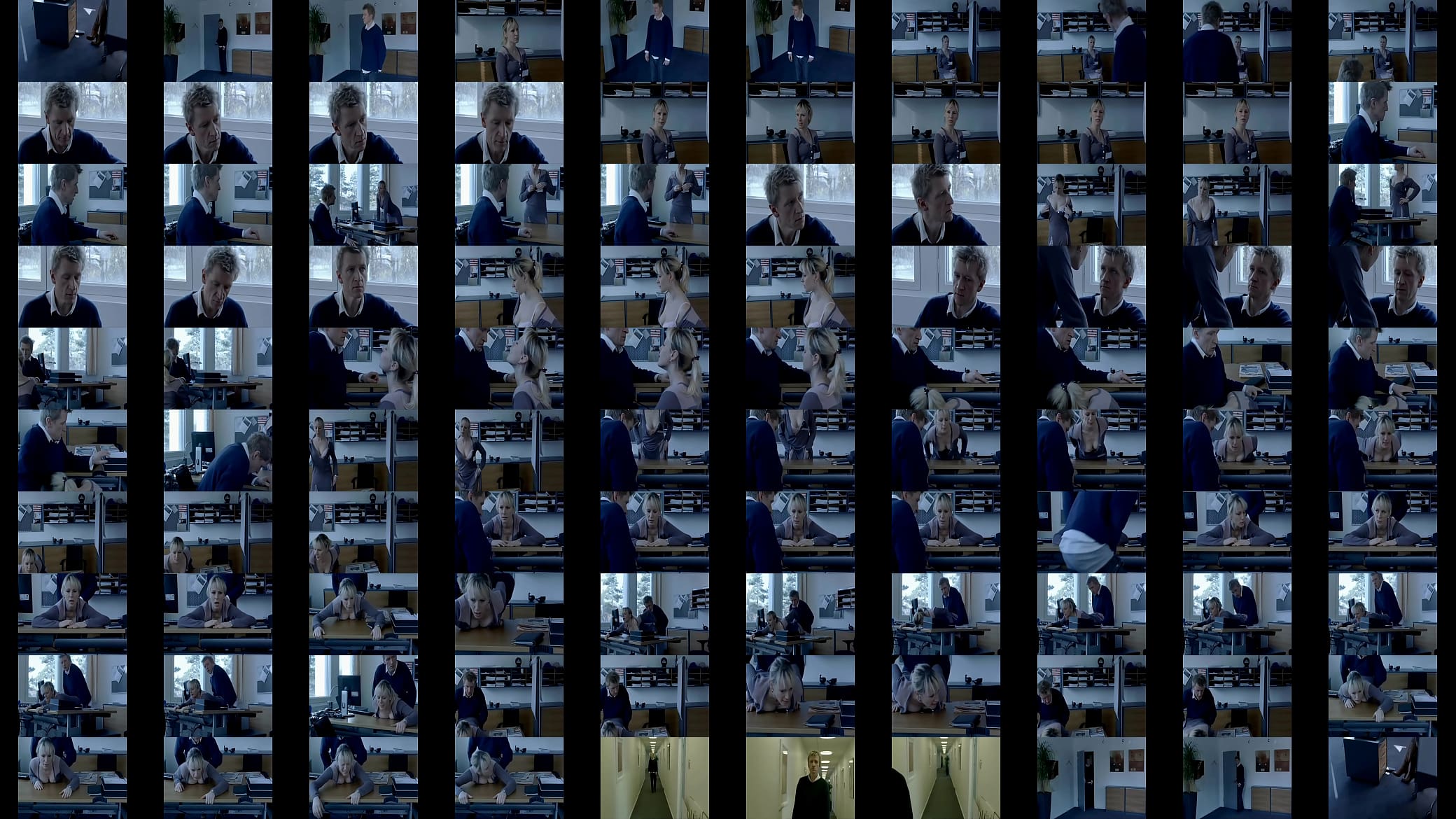 Danish Office Sex 预览图