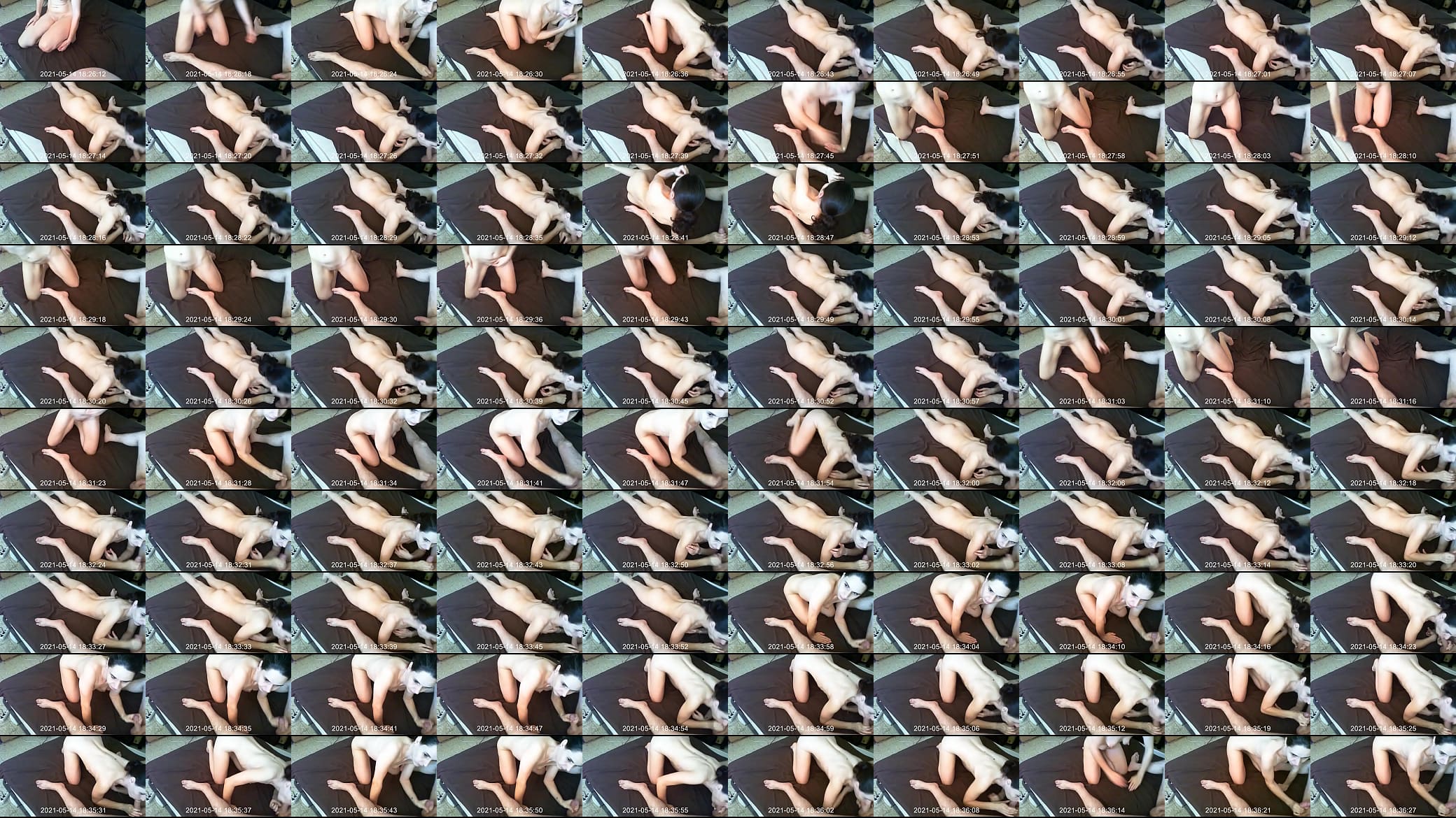 in hidden cam she suck my dick 预览图