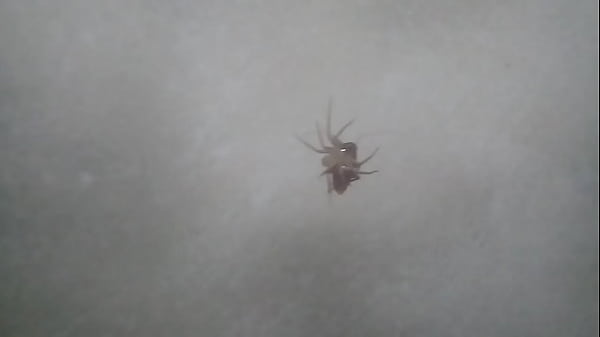 I See My  Fuck Her 2