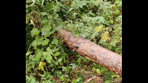 Видео для верификации