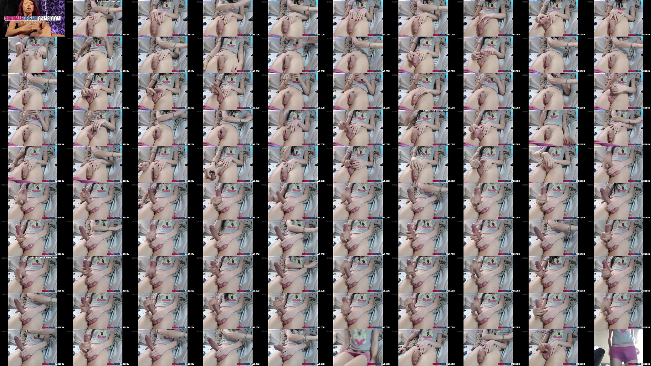 Tranny Strokes Her Huge Cock - ShemaleDreamCams.Com 预览图