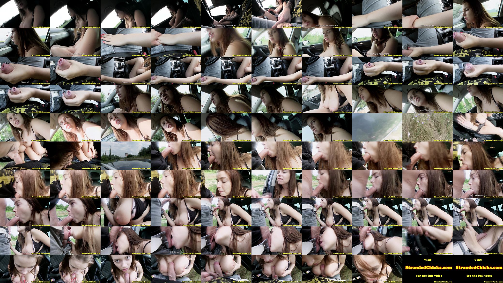 Big titted hitch hiking teen loves cock 预览图