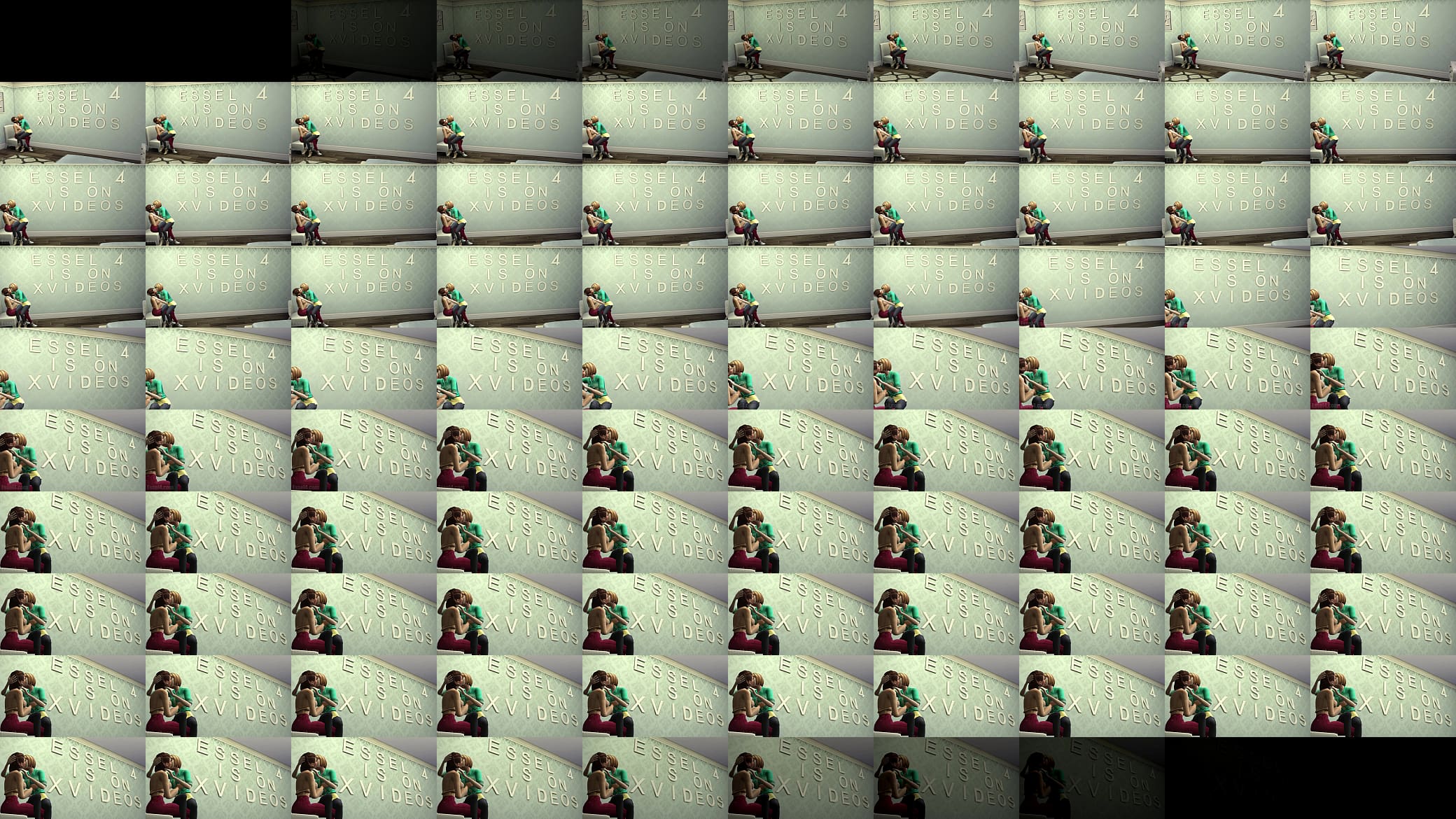 Verification video 预览图