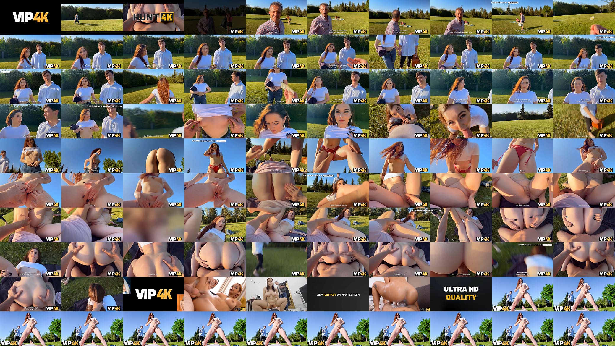 VIP4K. Pond Cheating 预览图