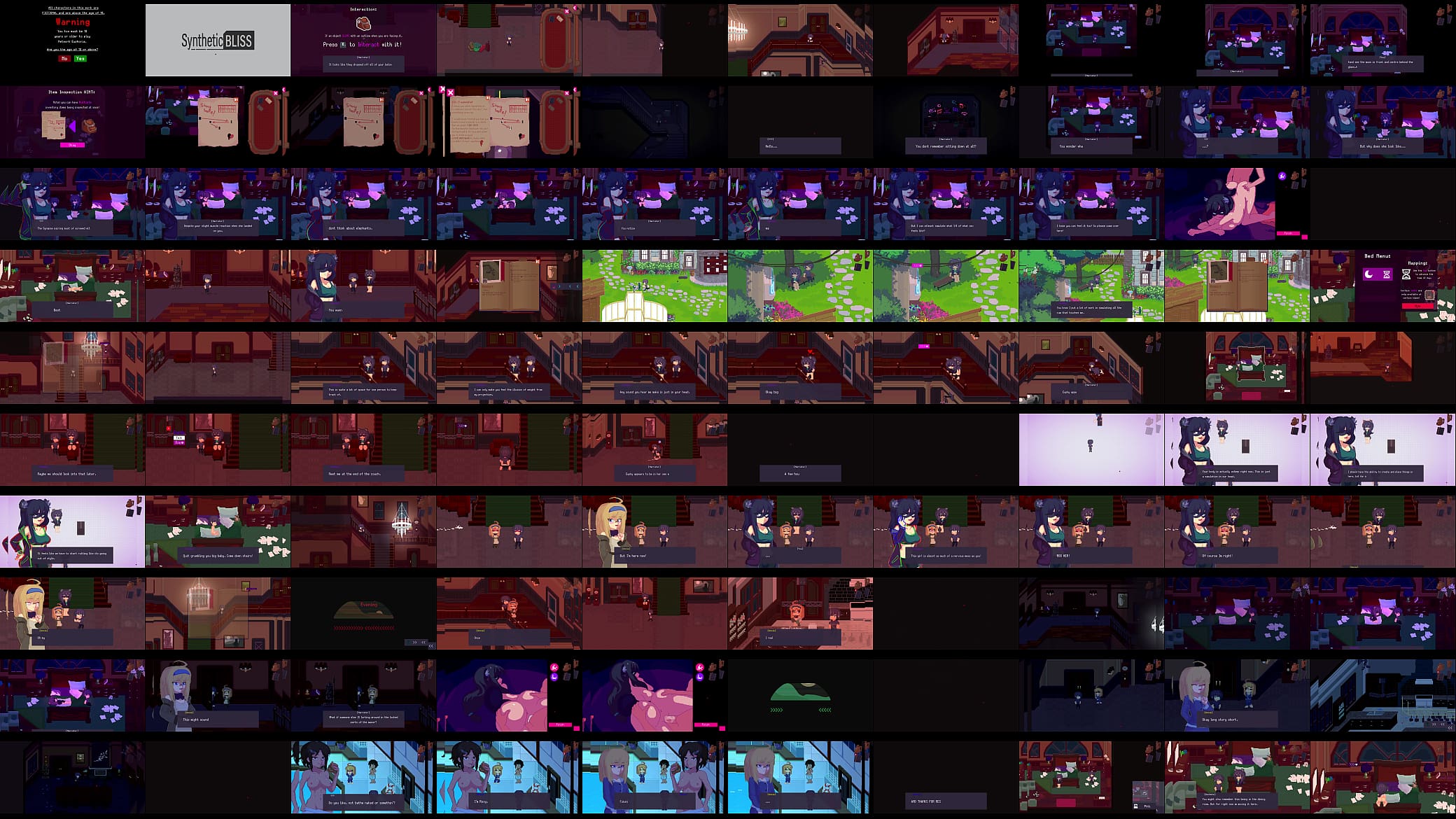 Hentai Game - Network Euphoria - Part 1 预览图