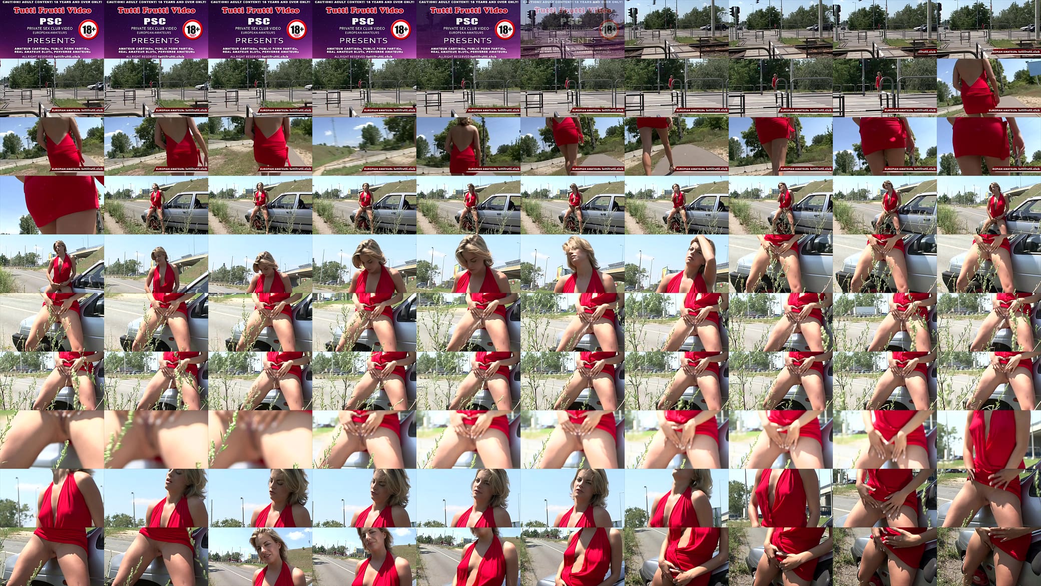 Flasher slut pee in the street 预览图
