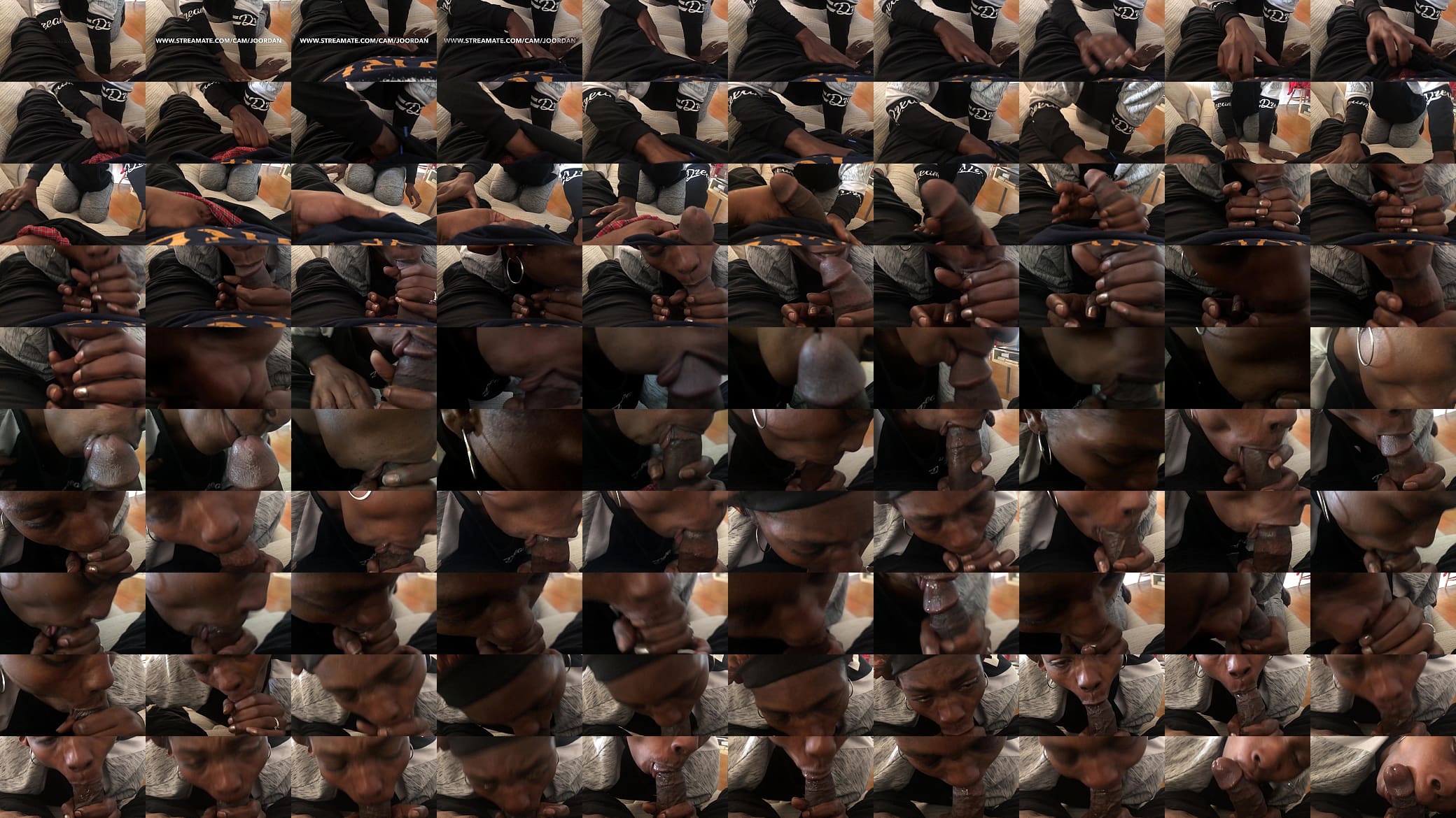 Ebony Sloppy Blow Job 预览图