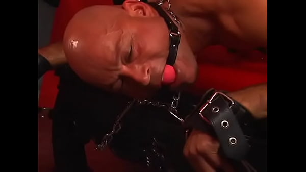 Wild chick Nicki Hunter ties up a bald guy and humiliates him using various bdsm toys