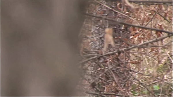 Sue Plays Strange Games Of Perversion