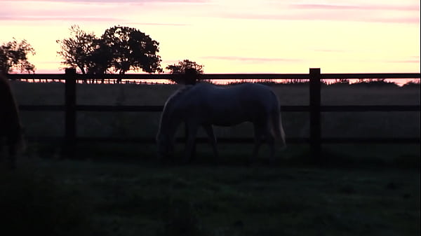Jodie James Takes Stiff Dick In The Barn