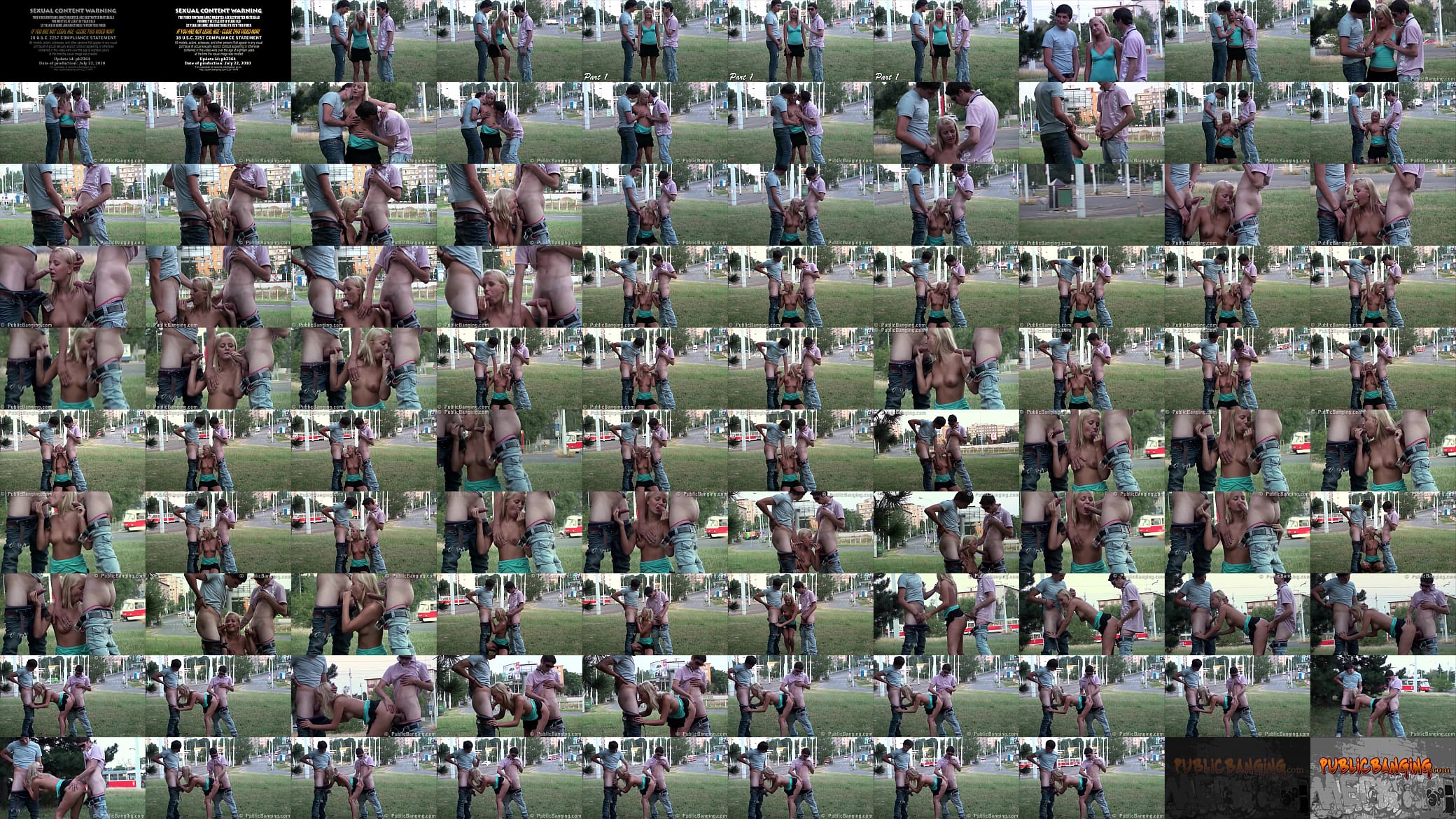 PUBLIC gang bang with a pretty teen girl in broad daylight 预览图