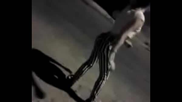 Turrita de casanova fucking hard