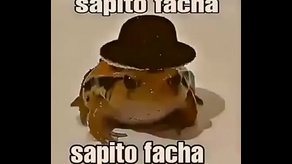 Sapito facha