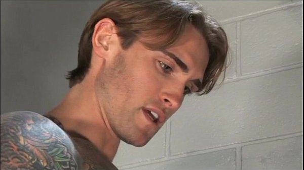 David Taylor - Vissé