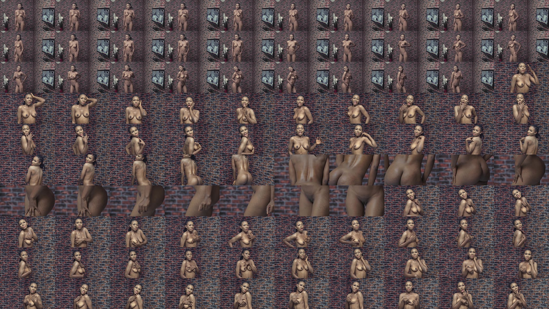 Verification video 预览图