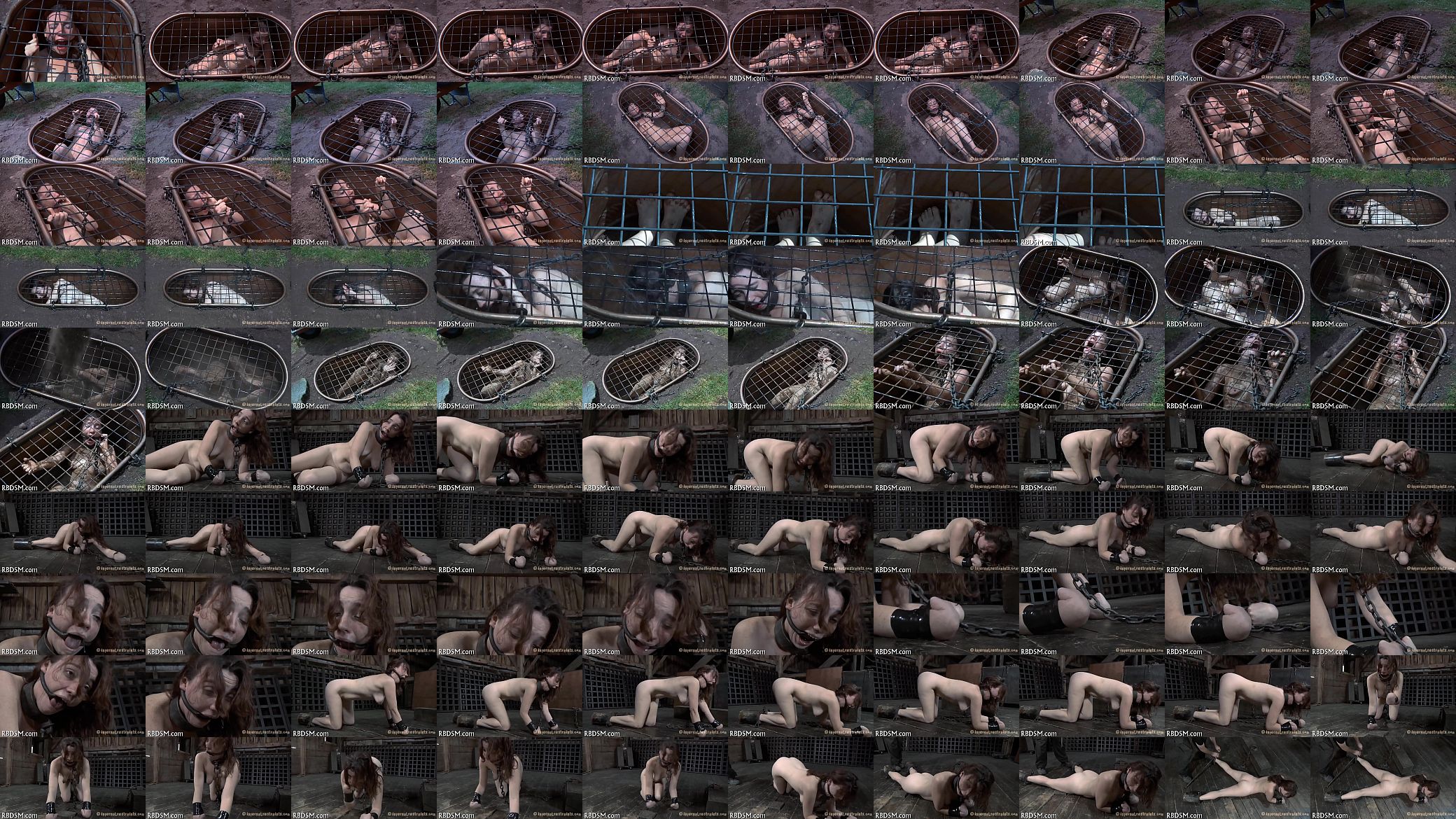 Sadomasochism sex pictures 预览图