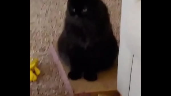 I was really lucky to have a bestfriend like her. A part of me is gone now.Rest in peace my beautiful angel  I love ...