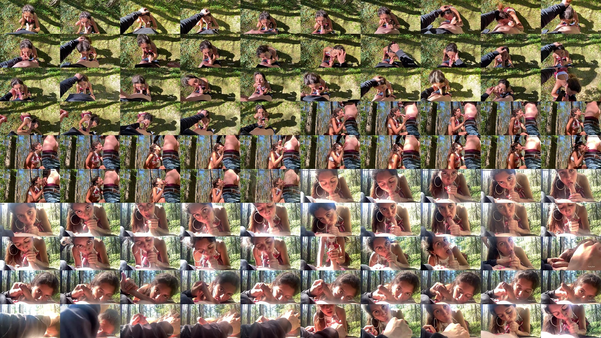 Young whore sucked a stranger in the woods in public 预览图