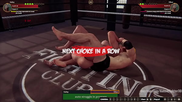 Hailey VS Vilkor (Naked Fighter 3D)