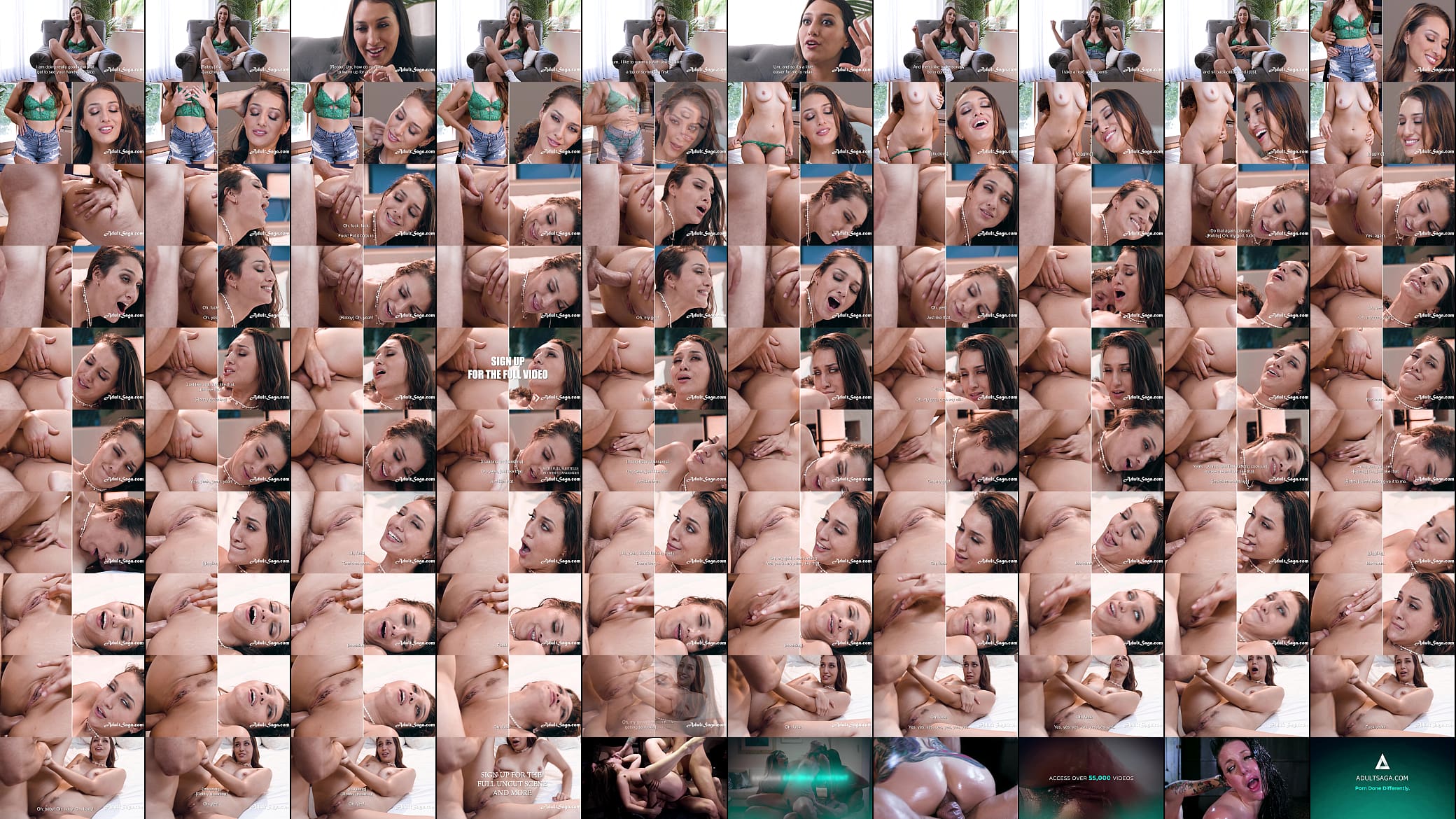Anal Facial Expression Split Screen 预览图
