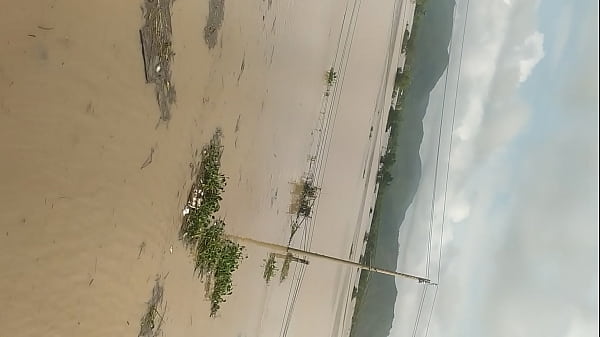 Video xác minh