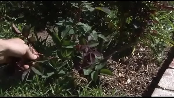 Tory Lane Gets A Load In Her Face