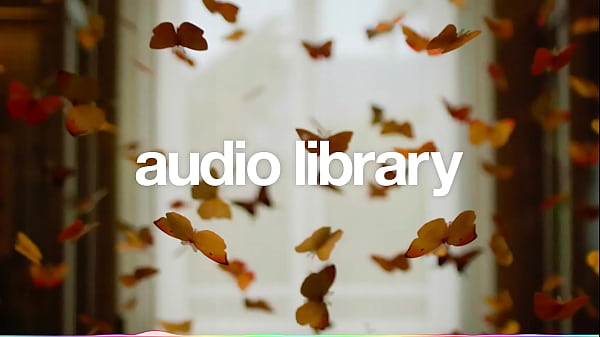 Vidéo De Vérification