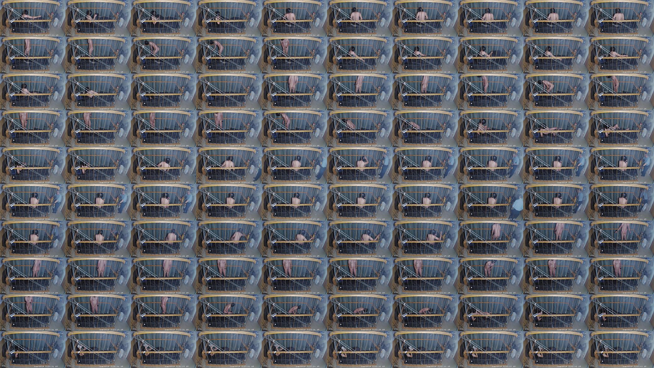 The Cagecam  a non-edited downloaded feed from &quot;the cage&quot; 预览图
