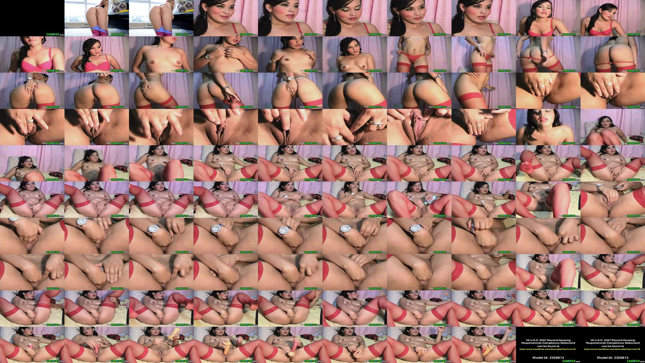 Asian Pussy Fisted Webcam Free Webcam Pussy Porn Video 预览图