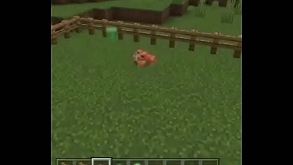 porno do mateus com th com a fernandinha ( 12) (não ver sem seus pais)