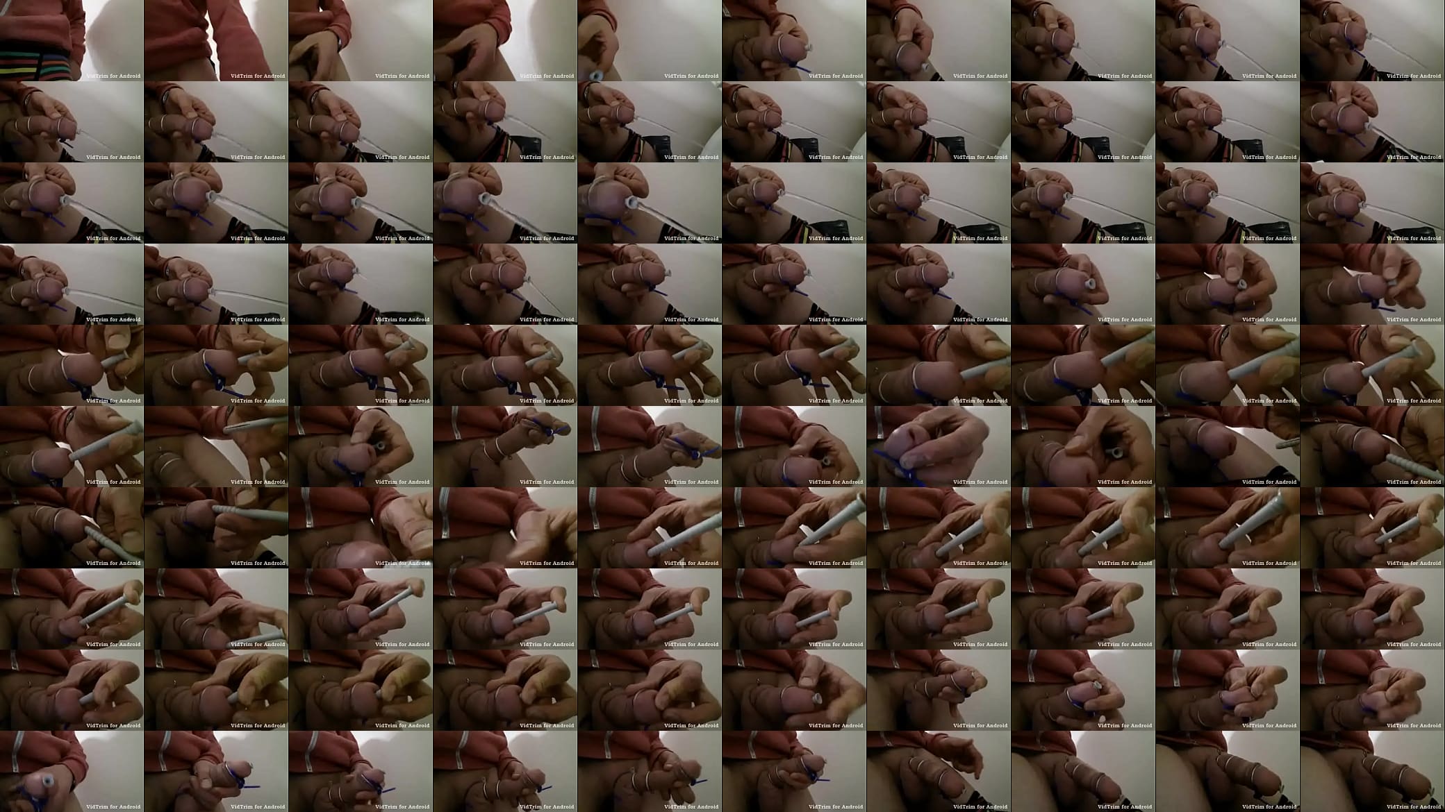 tmp 1828757622 预览图