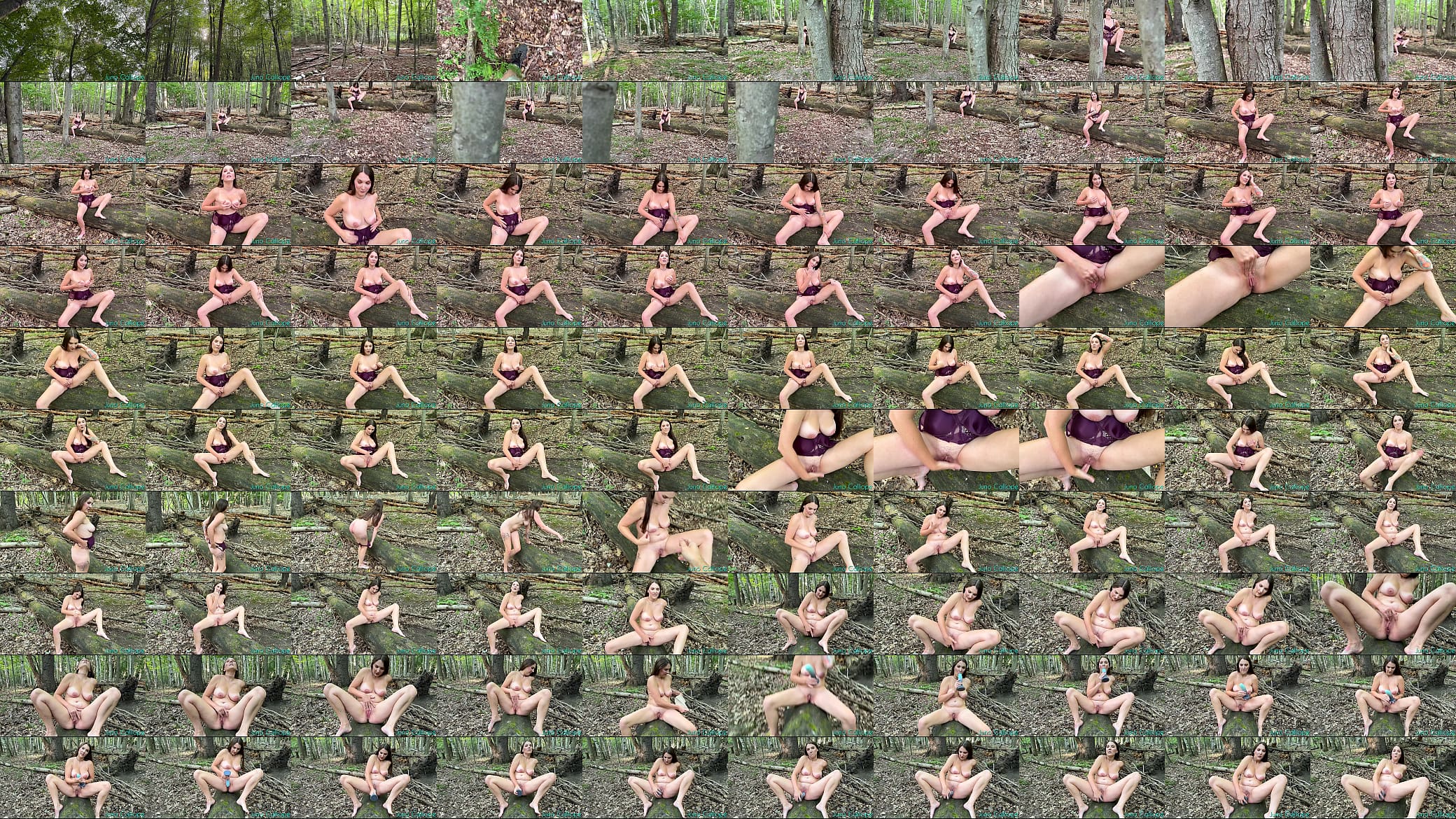 Spying on a hot girl masturbating in the woods 预览图