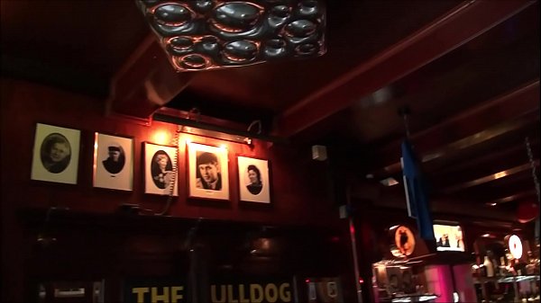 Buck Wild at the Bulldog Mack Cafe Amsterdam