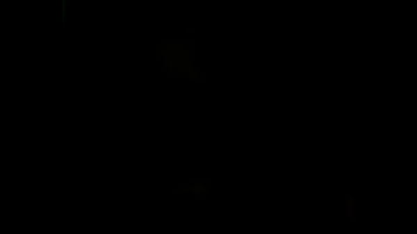 hot doggystyle ebony POV bigass