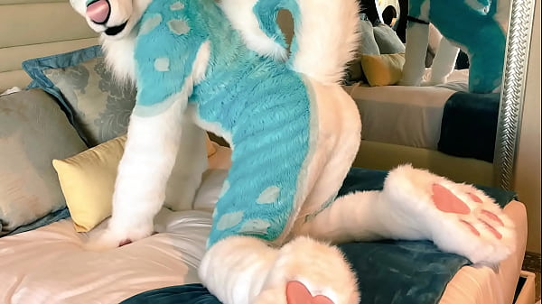 Fursuits Butts