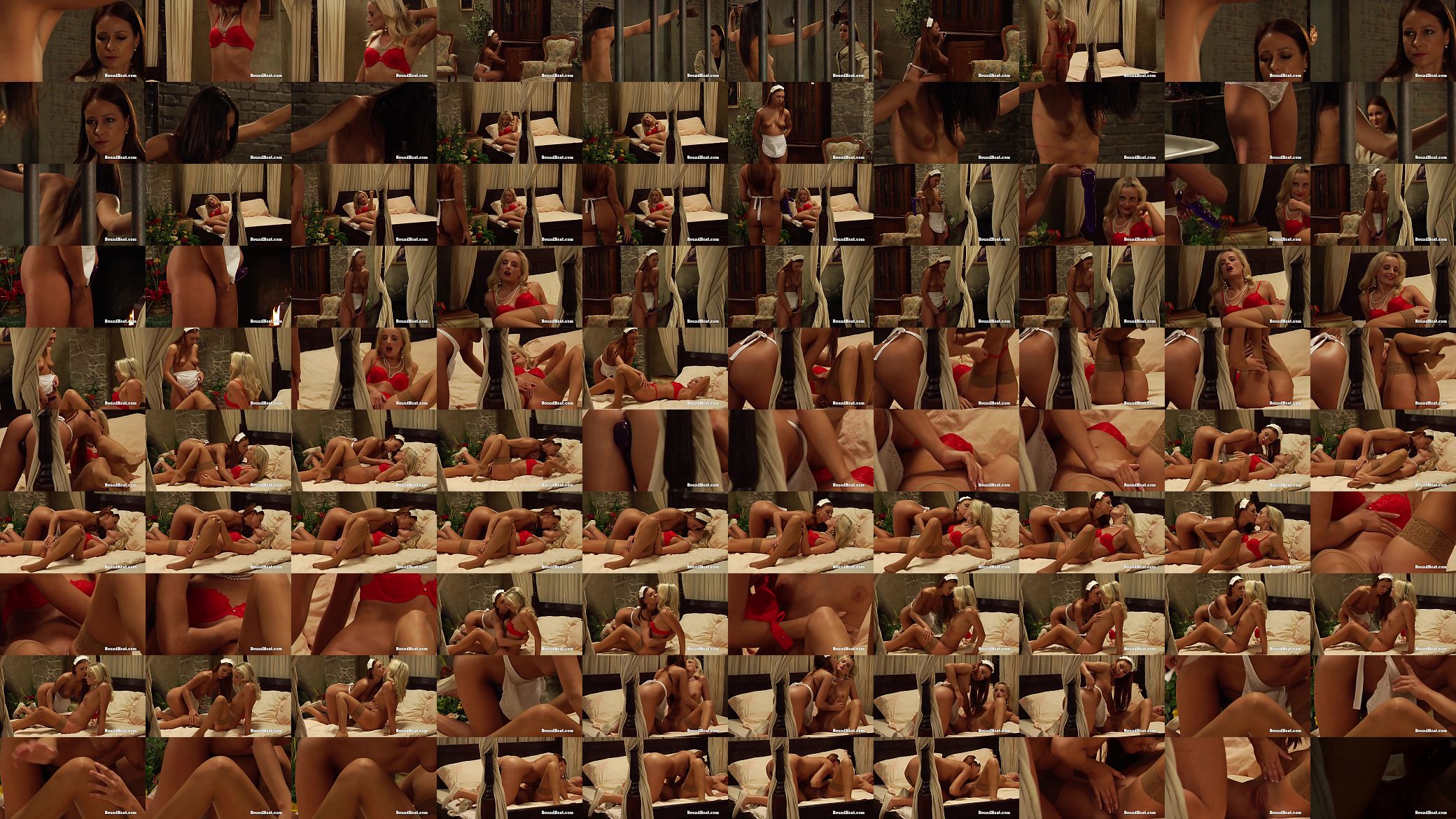 The Education of Erica: Tied And Gagged Lesbian Slave Tries To Scream From Whipping 预览图