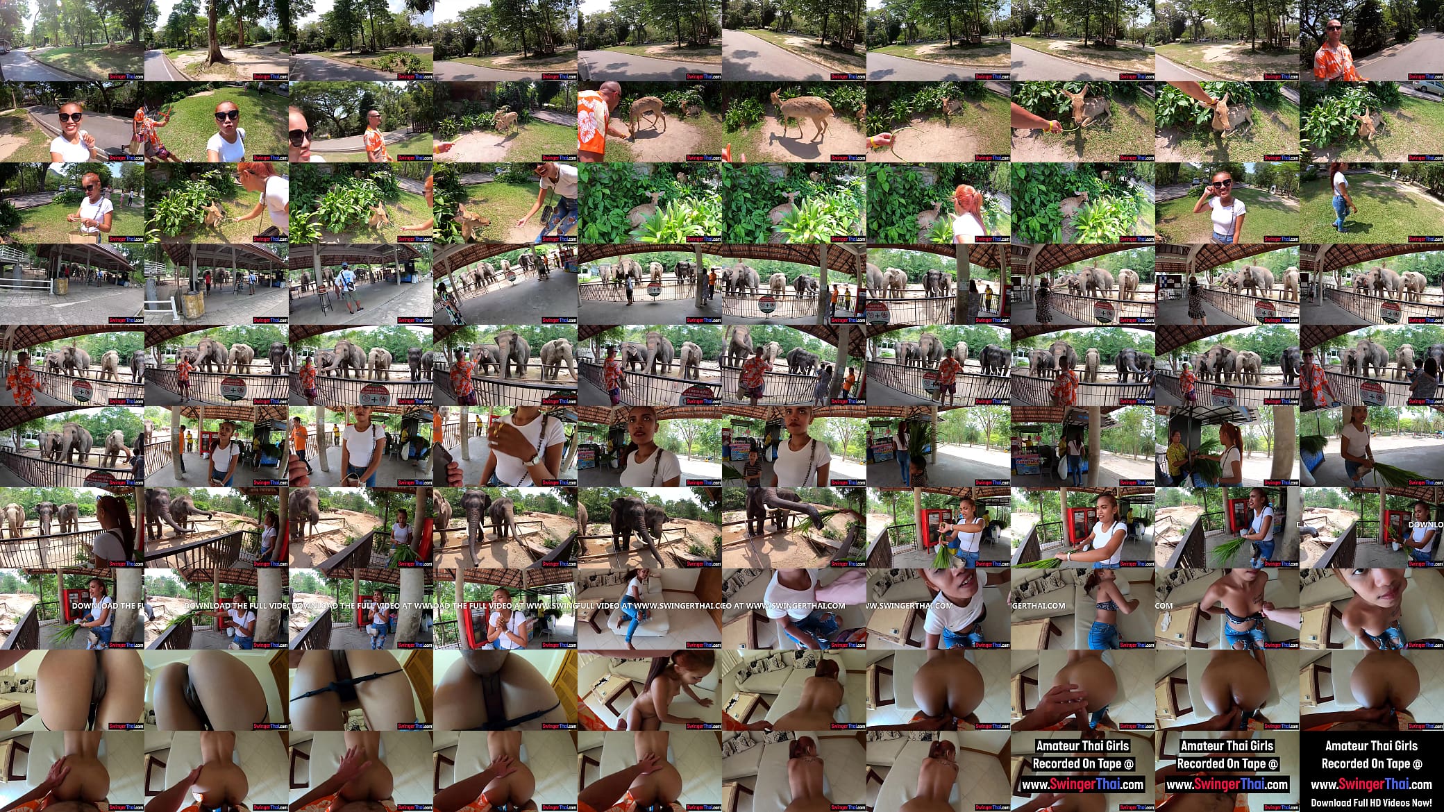 Big ass Thai girlfriend went to see animals and made a homemade sex video after 预览图