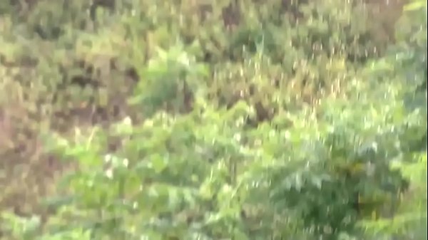 Nam thanh niên Ä‘á»©ng giá»¯a Ä‘Æ°á»ng thá»§ dâm