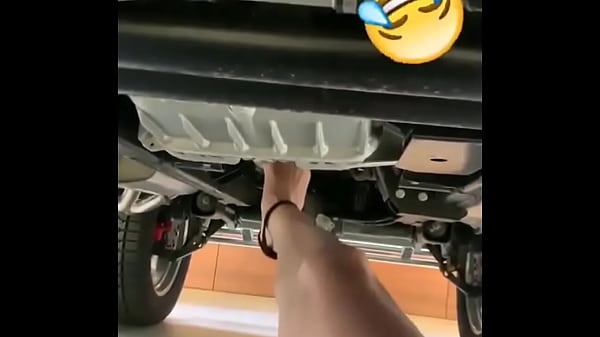 Stock